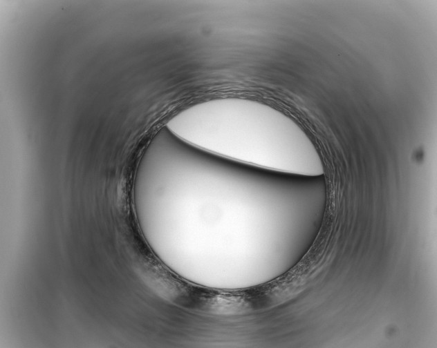 X0000099560270200805160758