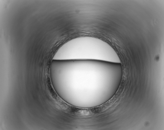 X0000099560272200805160758