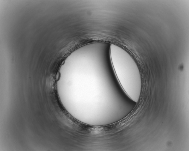 X0000099560273200805160758