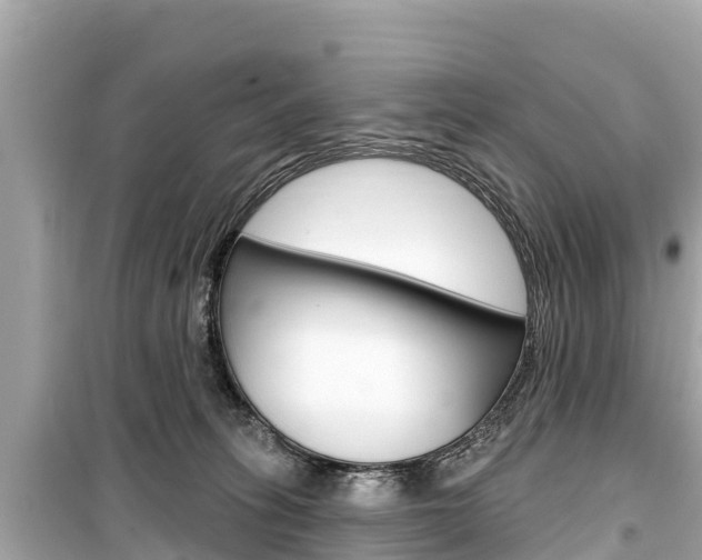 X0000099560275200805160758