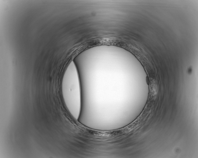 X0000099560276200805160758