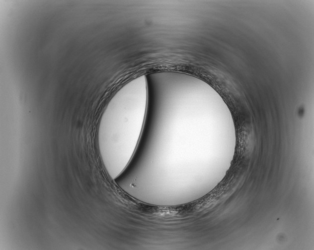 X0000099560278200805160758