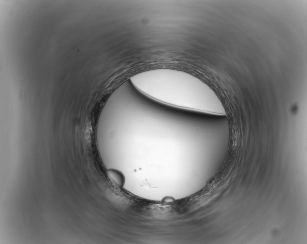 X0000099560279200805160758
