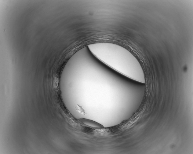 X0000099560281200805160758