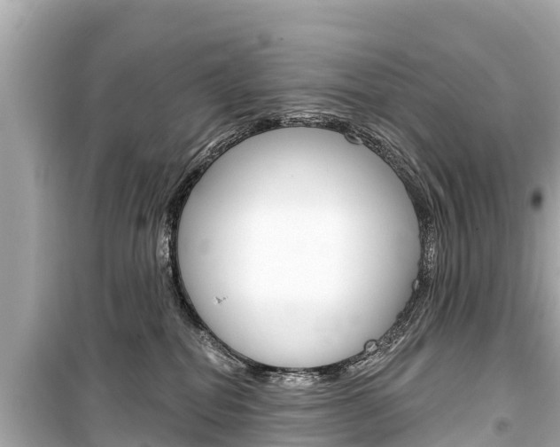 X0000099560282200805160758