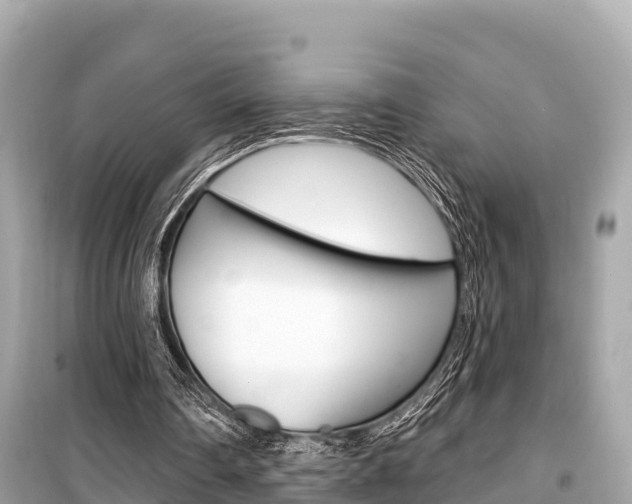 X0000099560290200805160757
