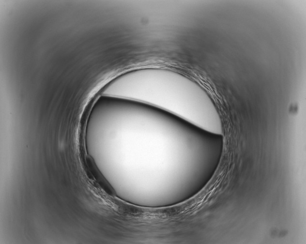 X0000099560292200805160757