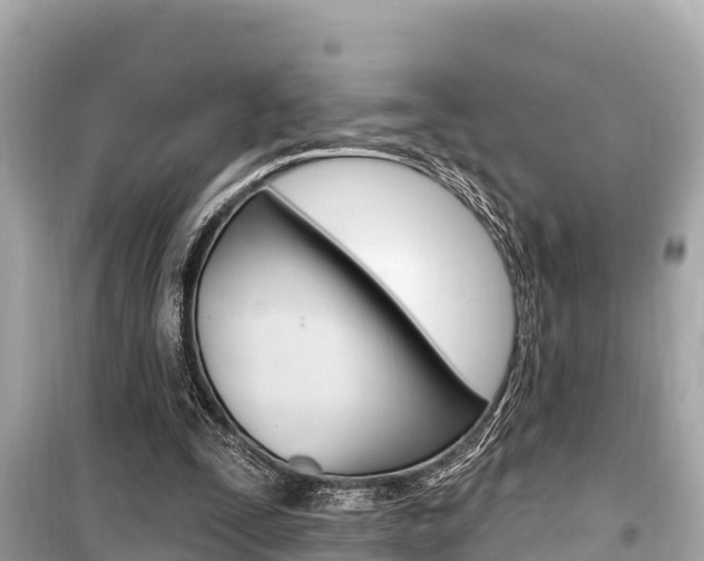 X0000099560295200805160757