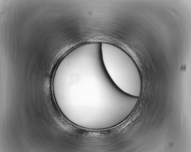 X0000099560298200805160757