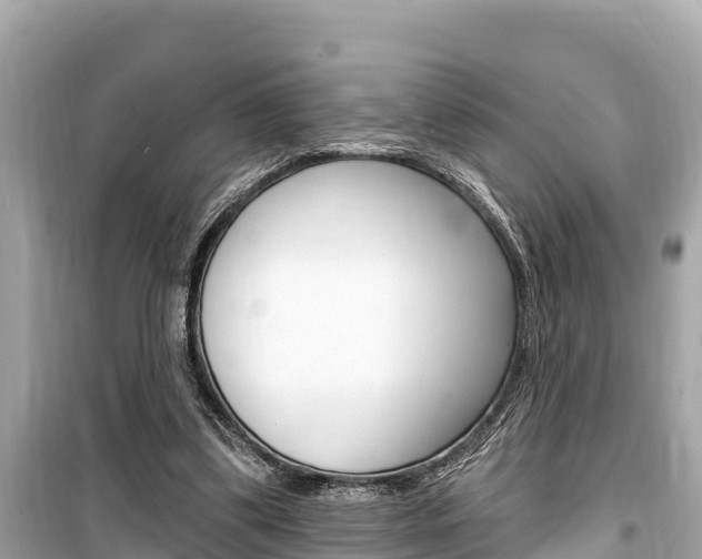 X0000099560299200805160757