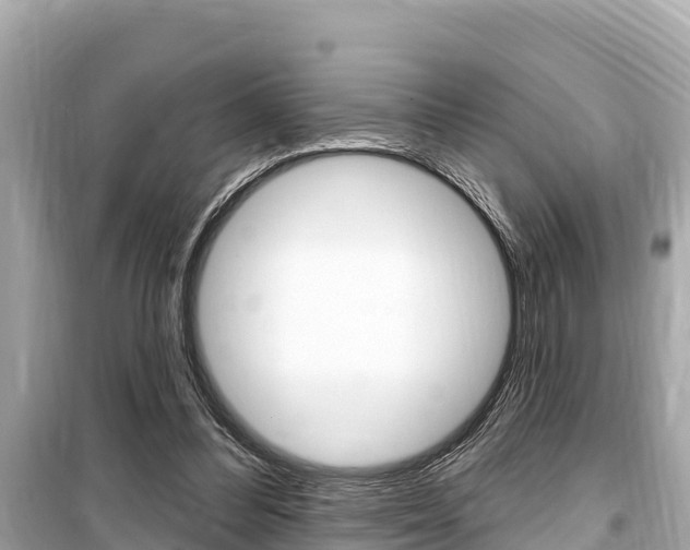 X0000099560300200805160757