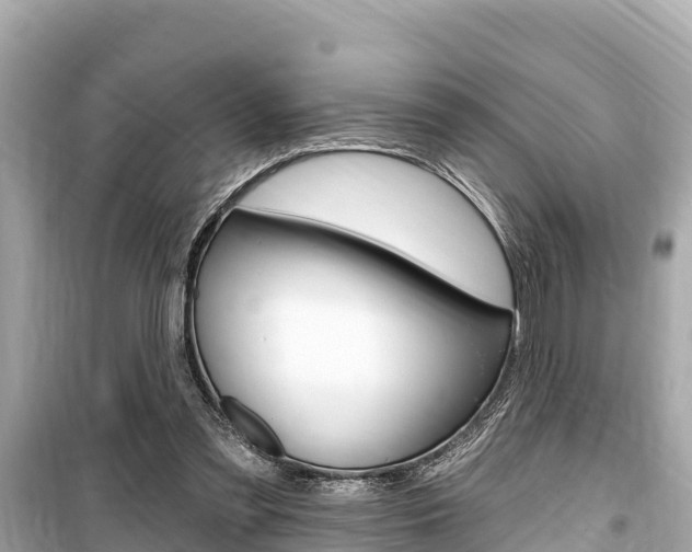 X0000099560301200805160757