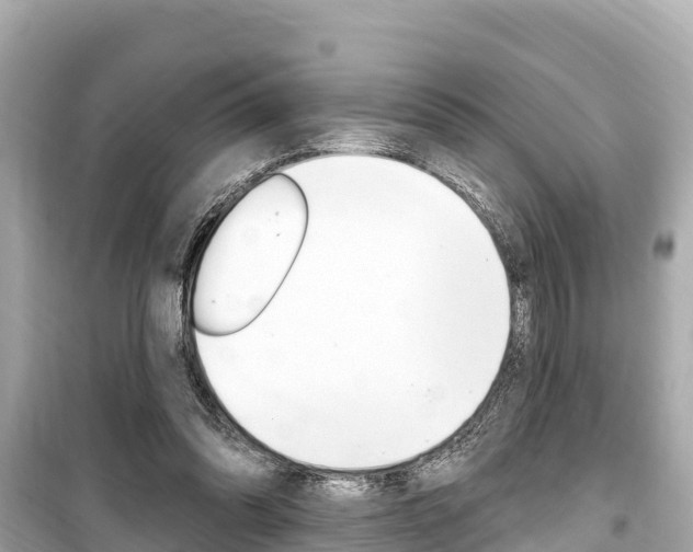 X0000099560302200805160757
