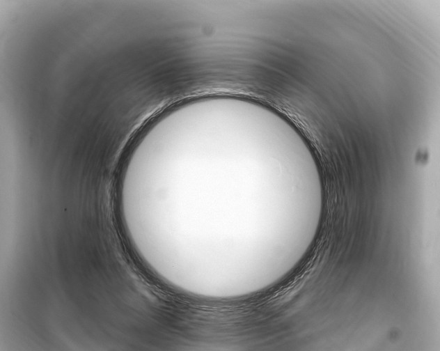 X0000099560304200805160757
