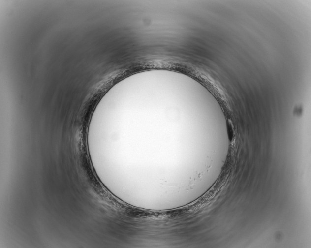 X0000099560306200805160757