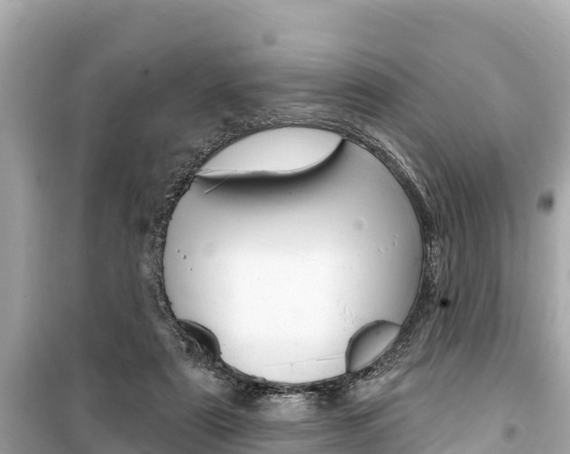 X0000099560307200805160757