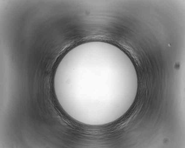 X0000099560308200805160757