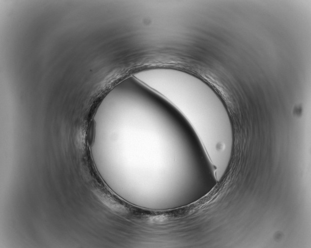 X0000099560309200805160757