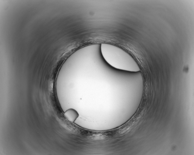 X0000099560310200805160757