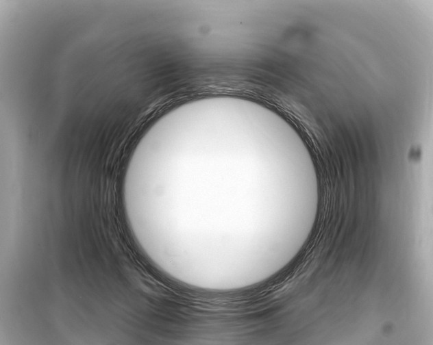 X0000099560312200805160757