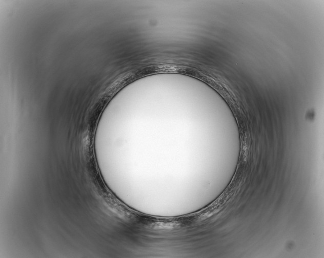X0000099560314200805160757