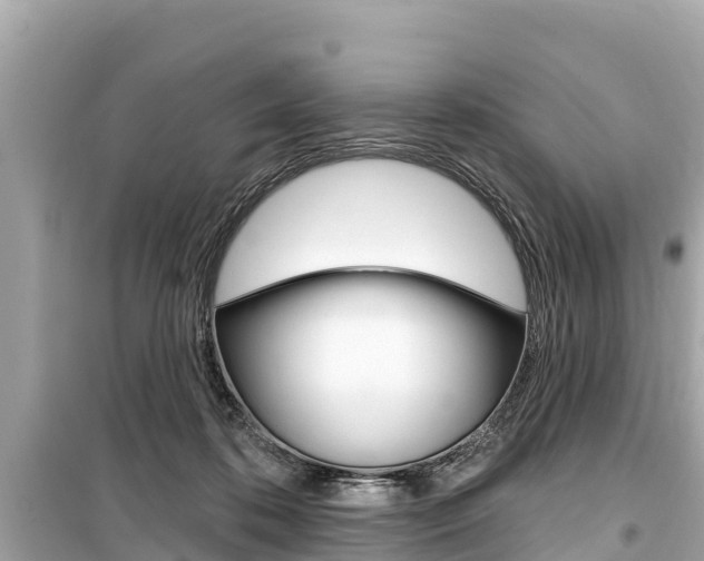 X0000099560316200805160757