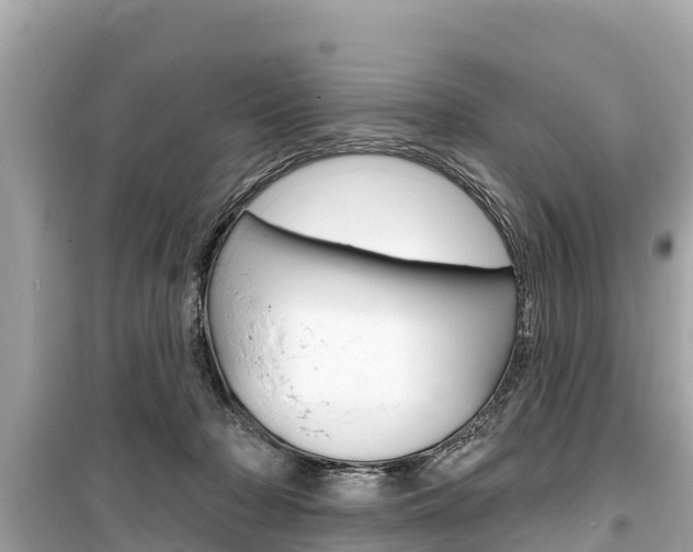 X0000099560318200805160757