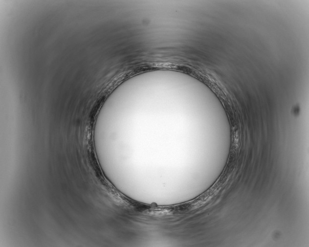 X0000099560322200805160757