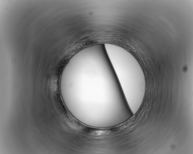 X0000099560323200805160757