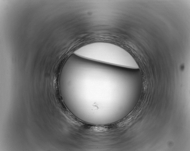 X0000099560327200805160757