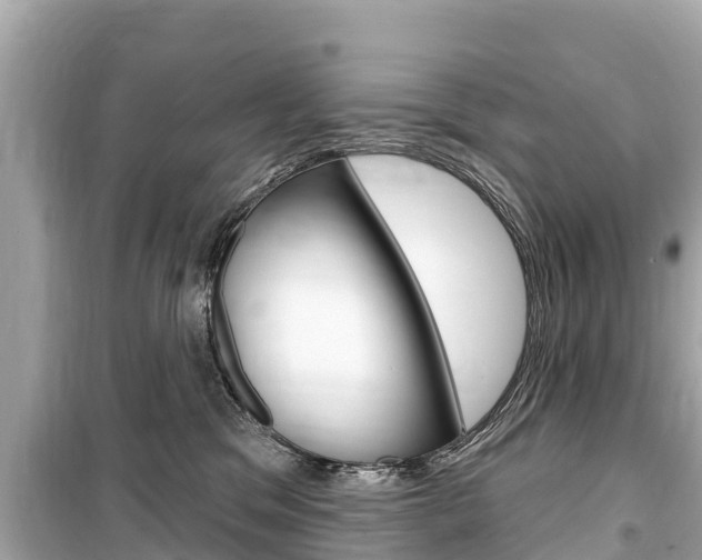 X0000099560329200805160756