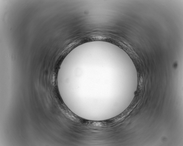 X0000099560330200805160756