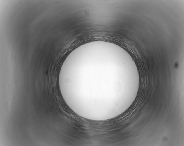 X0000099560332200805160756