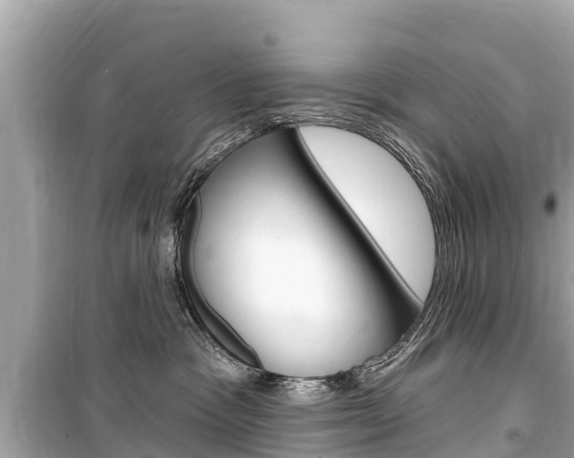 X0000099560333200805160756
