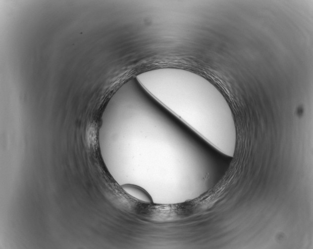 X0000099560335200805160756