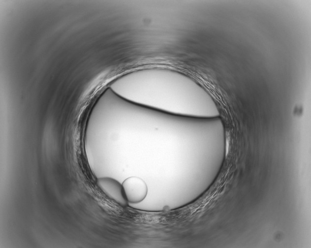 X0000099560339200805160755