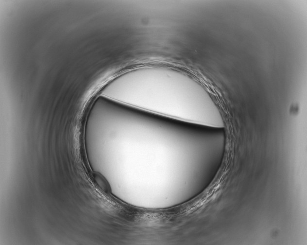 X0000099560341200805160755