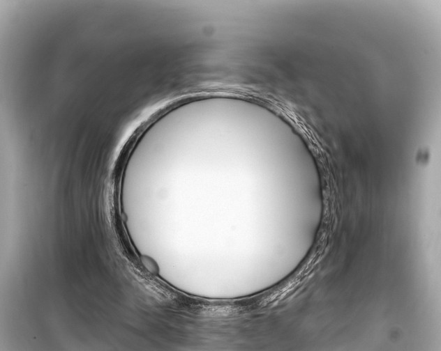 X0000099560342200805160755