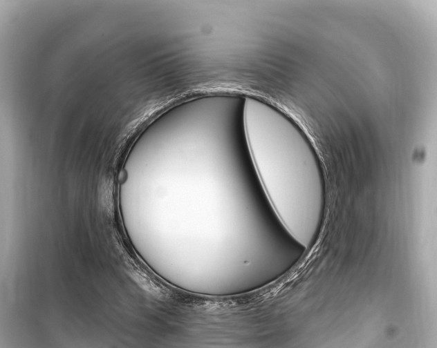 X0000099560345200805160756