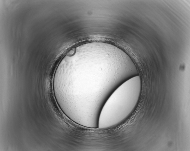 X0000099560347200805160756