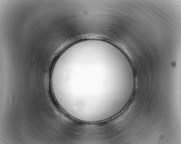 X0000099560349200805160756