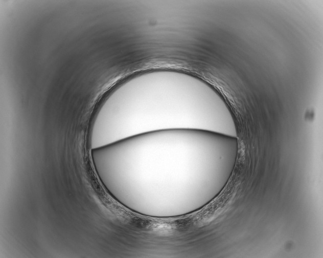 X0000099560352200805160756