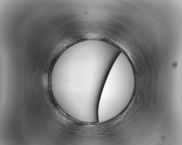 X0000099560353200805160756