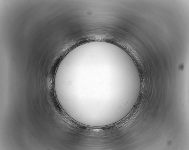 X0000099560355200805160756