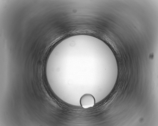X0000099560356200805160756