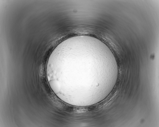 X0000099560359200805160756