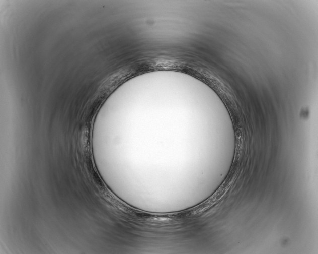 X0000099560361200805160756