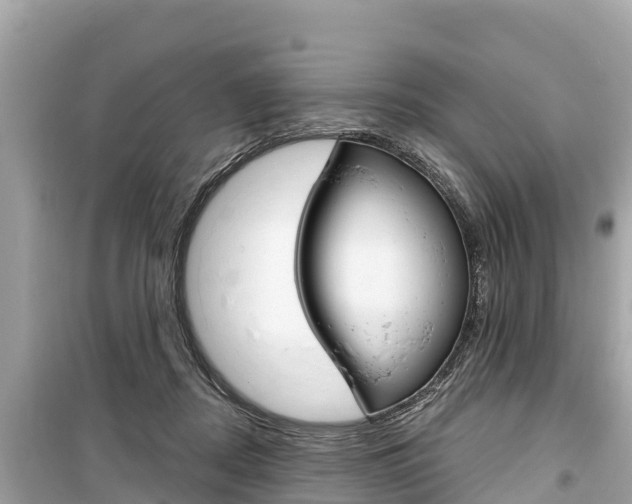 X0000099560362200805160756