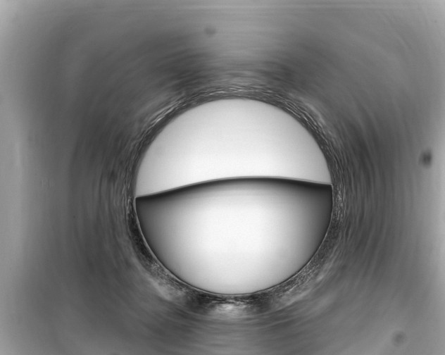 X0000099560364200805160756