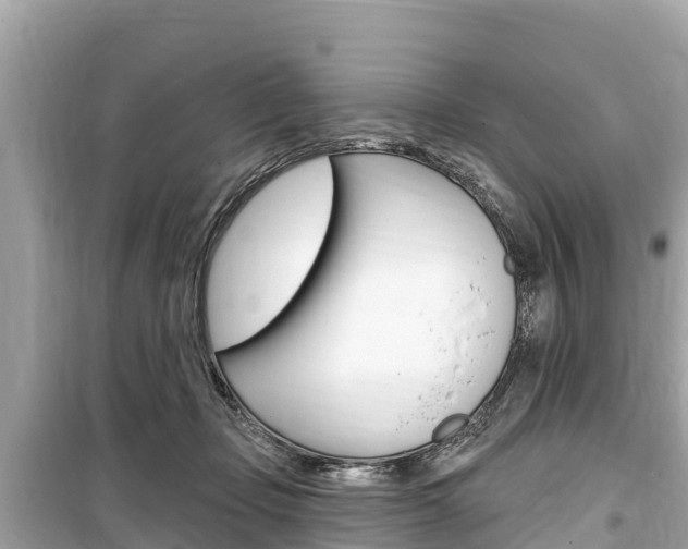 X0000099560365200805160756